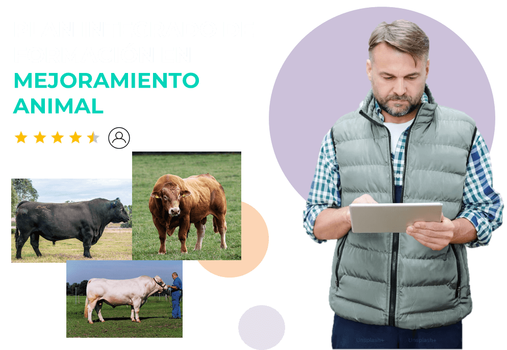 imagen plan integrado de capacitación en mejoramiento animal